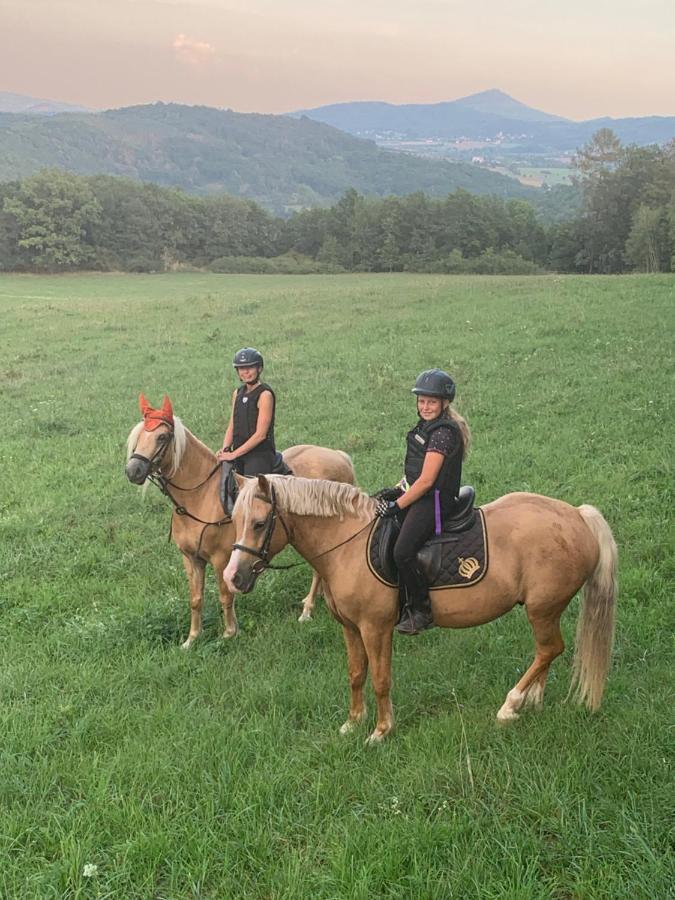 V Karavanu Campsite Bzany